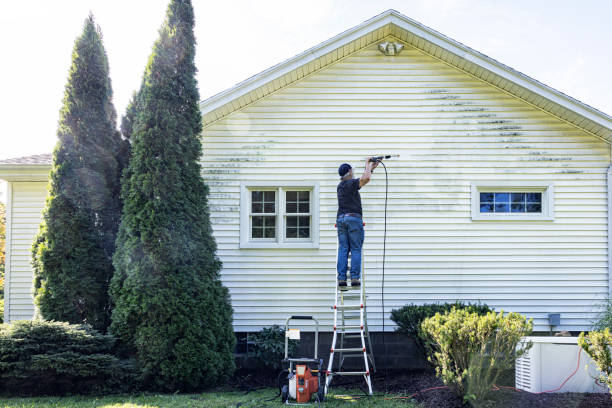 Best Roof Power Washing Services  in Tuckahoe, VA